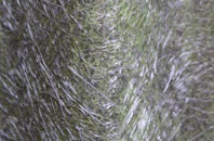 Ferrybridge fibreglass roof work